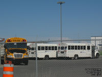Orl�ans Mobilit� 10 and 20 - 2004 International 3800 Blue Bird